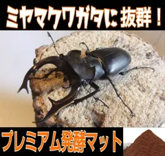 ミヤマクワガタ幼虫に抜群！ボトル入りプレミアム3次発酵マット【10本セット】 ミヤマクワガタ幼虫に抜群！ボトル入りプレミアム3次発酵マット