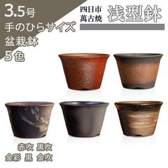 【未使用】盆栽鉢 浅型 3.5号 四日市萬古焼 金彩 黒 赤吹 金吹 黒吹 5色 丸 円形 陶器 小品 小さい ミニ アガベ 塊根 多肉 サボテン 雑木 松柏 観葉植物 約10.5センチ 植木鉢 苔 おしゃれ うめきち盆栽用品店