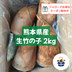 【熊本県産】 生竹の子 2kg