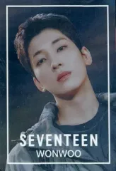 【中古】食玩 ステッカー・シール ウォヌ ノーマルシール 「SVTウエハース From PLEDIS ENTERTAINMENT SEVENTEEN」