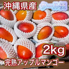 沖縄県産 完熟アップルミニマンゴー5kg 沖縄県産 【訳あり】完熟アップルミニマンゴー5kg - メルカリ