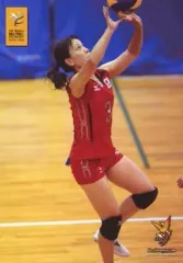 最終値下げ‼︎竹下佳江 バレー サインボール 2025年最新】Yahoo!オークション -竹下佳江(アンティーク