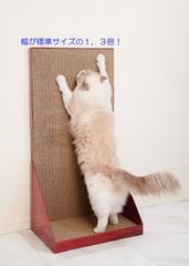 猫用品　爪とぎ　ガリガリウオールスクッラッチャープラスワイド　ビッグなワイド