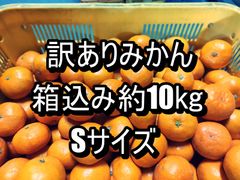 訳ありみかん　箱込み約10kg　Ｓサイズ
