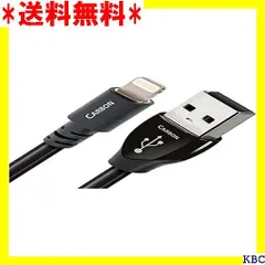 2024年最新】usb carbon audioquestの人気アイテム - メルカリ