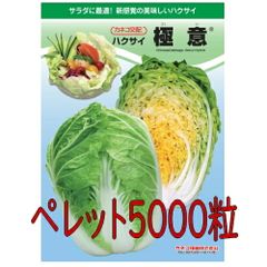 カネコ種苗　極意　白菜　ペレット５０００粒