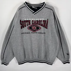 古着 90's/90年代 リースポーツ Lee SPORT スウェット カレッジロゴ Vネック 刺繍ロゴ トレーナー L  グレー メンズ