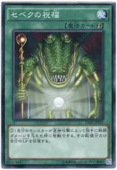 2025年最新】セベクの祝福 遊戯王の人気アイテム - メルカリ
