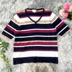 EMMA JAMES エマジェイムス リブVネックニット 【 LL】ボーダー