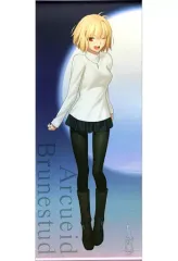 【中古】タペストリー [単品] アルクェイド・ブリュンスタッド 等身大タペストリー 「PS4/Switch ソフト 月姫 -A piece of blue glass moon- 初回限定版 等身大タペストリー付きメロンブックス限定版」 同梱特典