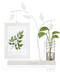 Afuly ポストカード フレーム フォトフレーム はがきサイズ 写真立て おしゃれ 植物栽培可 一輪挿し 贈り物 装飾 プレゼント