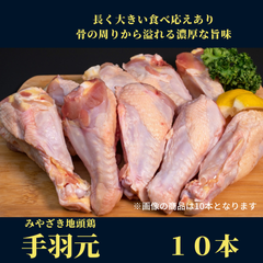 みやざき地頭鶏（じとっこ）／手羽元 10本／冷凍