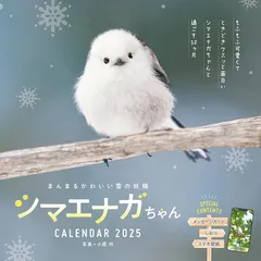2025年最新】雪の妖精シマエナガの人気アイテム - メルカリ