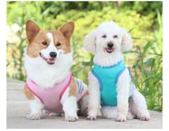 犬服 名入れ 冷感 メッシュ クール タンクトップ 中型犬用 ツートンカラー （犬 夏服 涼しい 水に濡らして ひんやり 瞬間冷却 接触冷感 冷たい 反射材 安心 お散歩用 名前入れ グッズ プリント スポーツ 犬の服 ペット