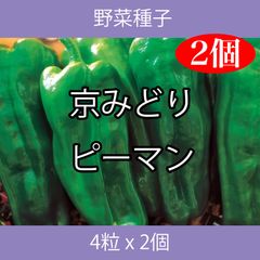 野菜種子 TVK11 京みどりピーマン 4粒 x 2個