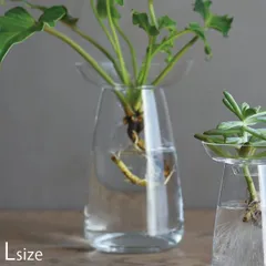KINTO キントー 花瓶 ガラス おしゃれ 一輪挿し AQUA CULTURE VASE Lサイズ クリア 20843 フラワーベース 花器 花 グリーン 栽培 ハーブ インテリア オブジェ ガラス製 フラワーグラス のサムネイル