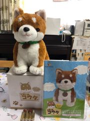 こんにちワン！しばいぬ コウタ【中古・美品】
