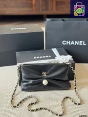 【今日WTO】Chanel 25SS ハンドホールディング ディナーバッグ-WTO輸入2-TA69