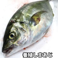 River.Seaトラウトブローチ(アメマス/ウッド製)【1点物】☆最終価格