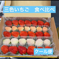 いちご　苺　三色　食べ比べ　クール便