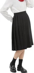 Eiza プリーツスカート 無地 学生 制服 車ヒダ スクールユニフォーム 女子高生 中学 e210( ブラック 60cm,  L)