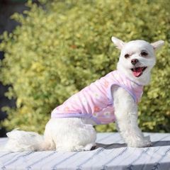 犬と生活　バグガードタンクキュート