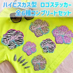 【全6種コンプリートセット】ハイビスカス型ロゴステッカー🌺Galture公式グッズ