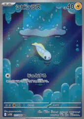 117/086/SV11B/B/AR シビシラス