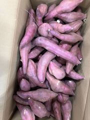 【自宅で甘い焼き芋作ってみませんか？】　さつまいも　甘い　10kg 紅はるか　甘いさつまいも　かんしょ　芋