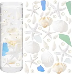 PH PandaHall 320個 8種 海洋生物デコレーション ヒトデ 天然シェルセット パールセット 巻き貝 樹脂シェル 飾りセット ヒトデセット 巻き貝セット 手作り飾り(白、クリア)