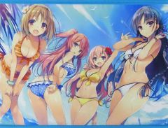 ToLOVEる作者 矢吹健太朗描き下ろし】 ヒロイン集結クリアポスター