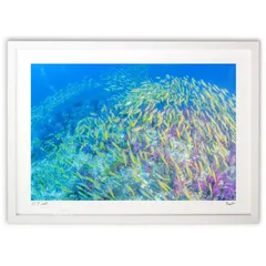 余村展、「ブルースターの囁き」、希少画集の額装画、四季、風景