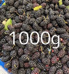 鮮度抜群！朝採れ　瀬戸内ブランド 生マルベリー桑の実1000ｇ