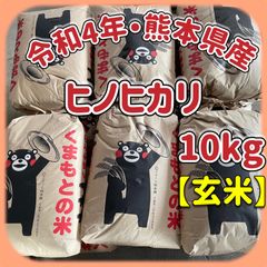 ヒノヒカリ　玄米  10kg 令和4年 熊本県産