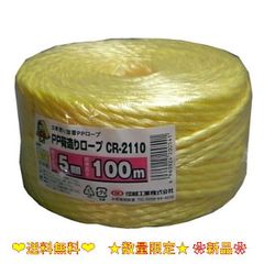 信越工業 荷造り梱包用 PPロープ 太さ5mm 長さ100m 黄 CR2110