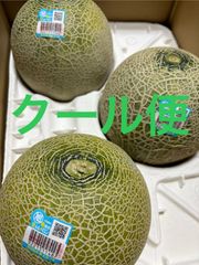 エルソルメロン 4Lサイズ 箱込4.6キロ程度 茨城県産