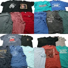 古着卸 まとめ売り カラーmix プリント 半袖Tシャツ 20枚セット (メンズ 2XL ) 無地 カレッジ風 スヌーピー 中古 古着 MZ0975