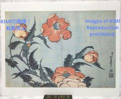 ポスター 茶子 葛飾北斎 けし かつしか ほくさい Poster Keshi Katsushika Hokusai Papaver somniferum Opium poppy