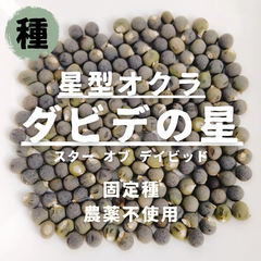 【種】星型オクラ　ダビデの星（スターオブデイビッド）　農薬不使用　20粒