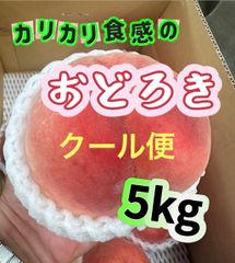 全国一律料金‼️クール便発送‼️ パリパリ☆ガリガリ☆【硬い桃】硬桃　おどろき桃　モモ　もも　硬い桃が大好きな方へ