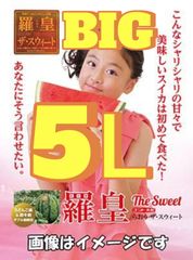 ５L・BIG「羅皇ザ・スイート」シャリ度NO1の農林水産大臣賞受賞