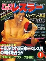 レスラー名鑑 Best fighters ビッグレスラー 新年創刊号付録 Yahoo!オークション - 【付録のみ】レスラー名鑑 (ビッグ