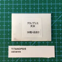 チタノプシス　種子４０種類　２０粒ずつセット チタノプシス 種子40種類 20粒ずつセット