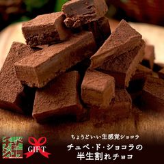 半生割れチョコ（300g）チュベ・ド・ショコラ　割れチョコ　生チョコ　チョコレート　クーベルチュール　大容量　ギフト　贈り物　プレゼント　自分チョコ