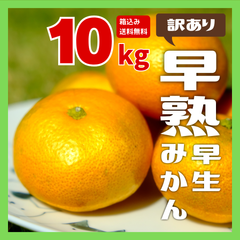 【後期】【訳ありみかん】早熟早生みかん 産地直送 箱込約10kg 送料無料