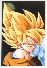 ドラゴンボールZ ラミネートカード　ラミカード　6種類　各10枚　合計60枚 Amazon.co.jp: ドラゴンボールZ ラミネートカード ラミカード 10種類