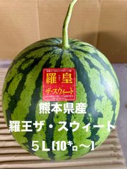 【産地直送・大玉すいか赤果肉・即日発送可】熊本県産　羅皇ザ・スウィート（５L）１玉１０㎏越え　正規品　秀品