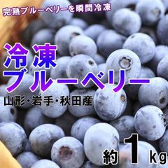 島根県産 冷凍 ブルーベリー 1kg 栽培期間中、農薬・化学肥料不使用