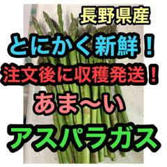 無農薬新鮮！朝採り春アスパラ400g 希少な国産長野県産