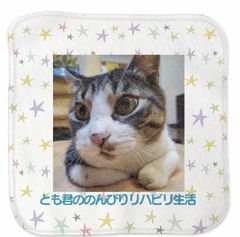 【単品】ミニハンカチタオル(購入特典付)